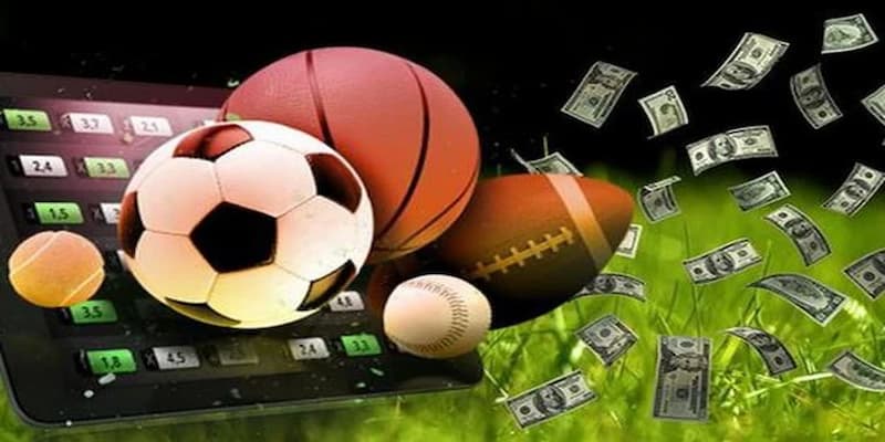 Sảnh cá cược bóng đá và thể thao GO99